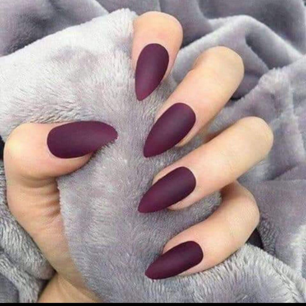 NAIL FAIRY PREMIUM SERIES اظافر تركيب